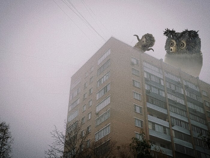 Туманный день