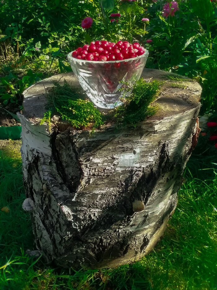 ������ �� ���.