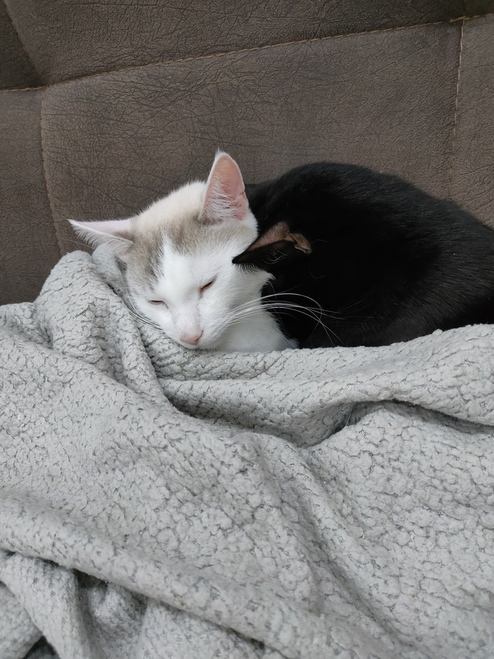 Доброй ночи! :)