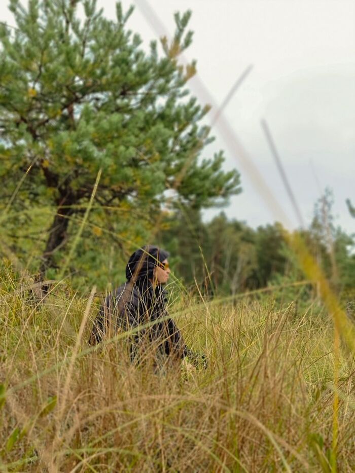 Дон Пихто в болоте