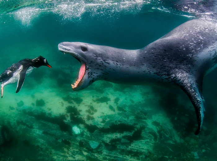 ����� ��������� ���� ����� ��������� � ��������: �������� � ������������ ����� �� ���� �� ���� ����� �������