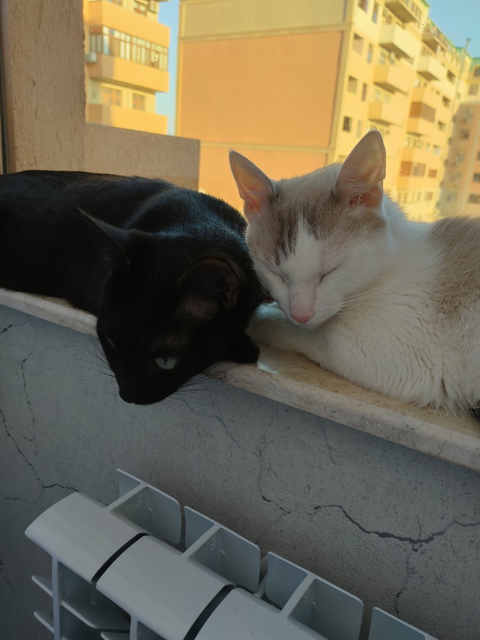 Первые деньки на новом месте 🤍