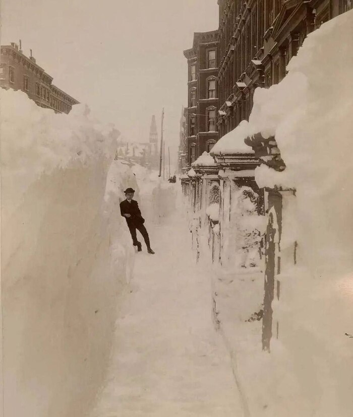 ���� ��� ������?