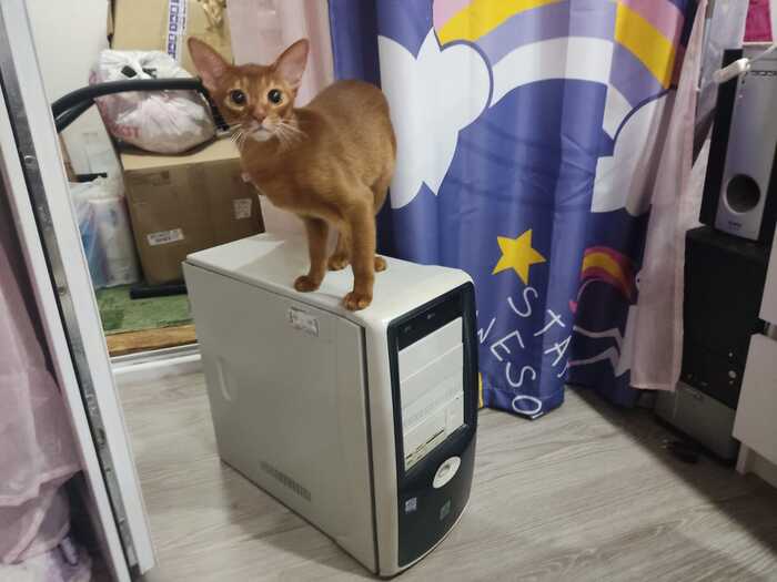 Ты уверен что это надо открывать?