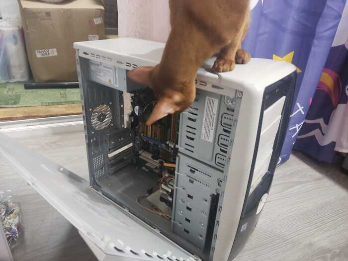 Баяны с выдержкой