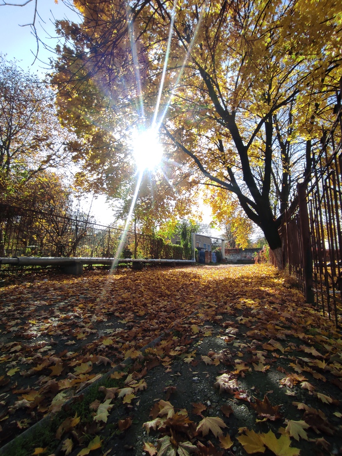 Осенний тупик