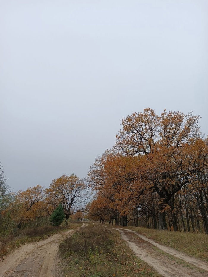 По пути к Бездонке