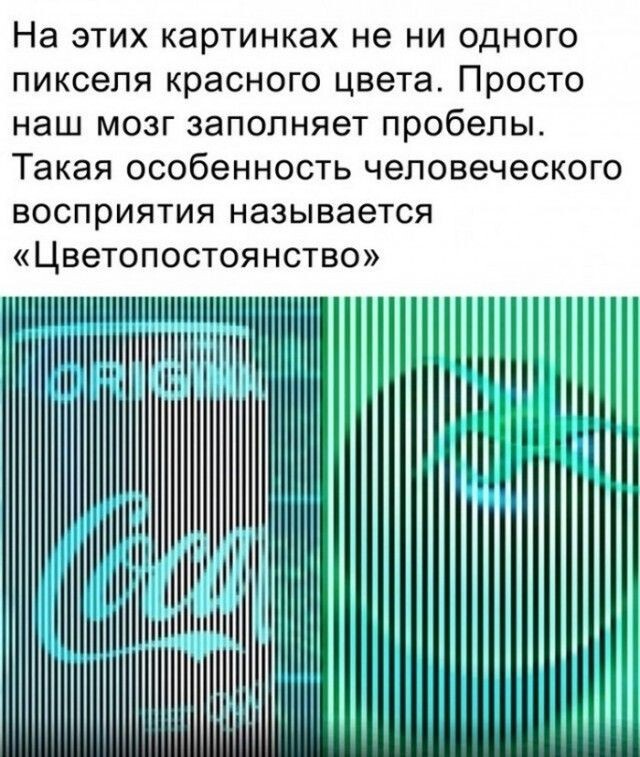 Колбочки могут обмануть