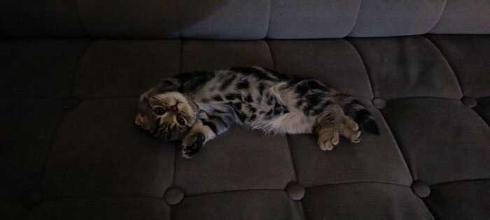 И так тоже любит