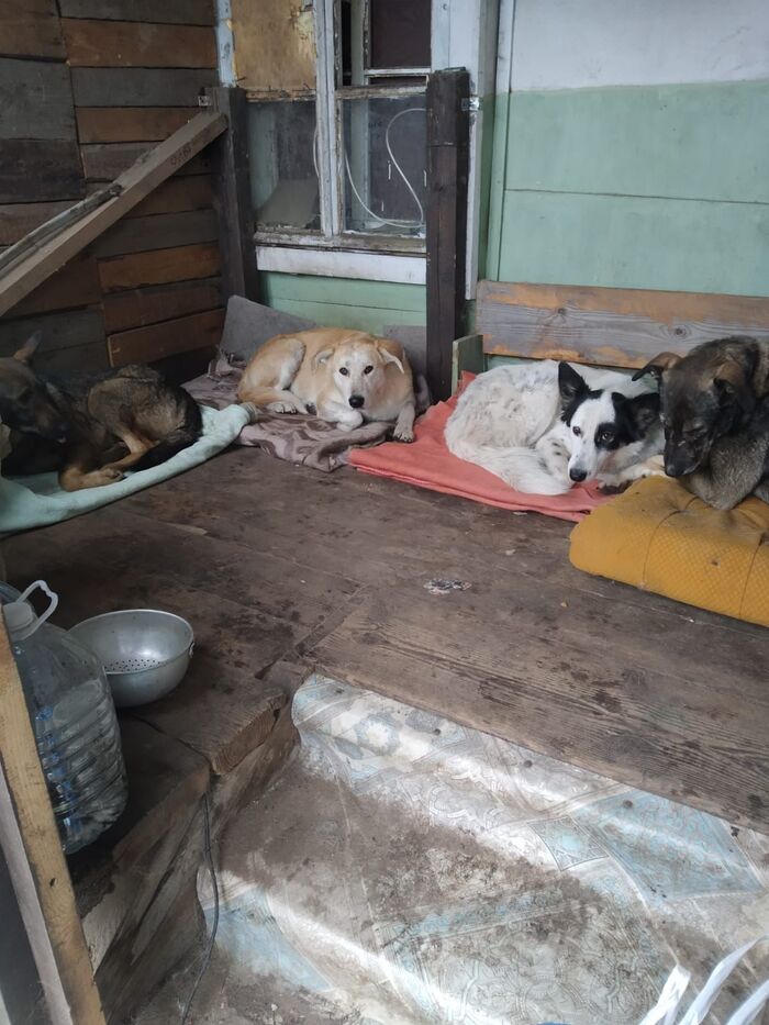 -     .    ,      ..