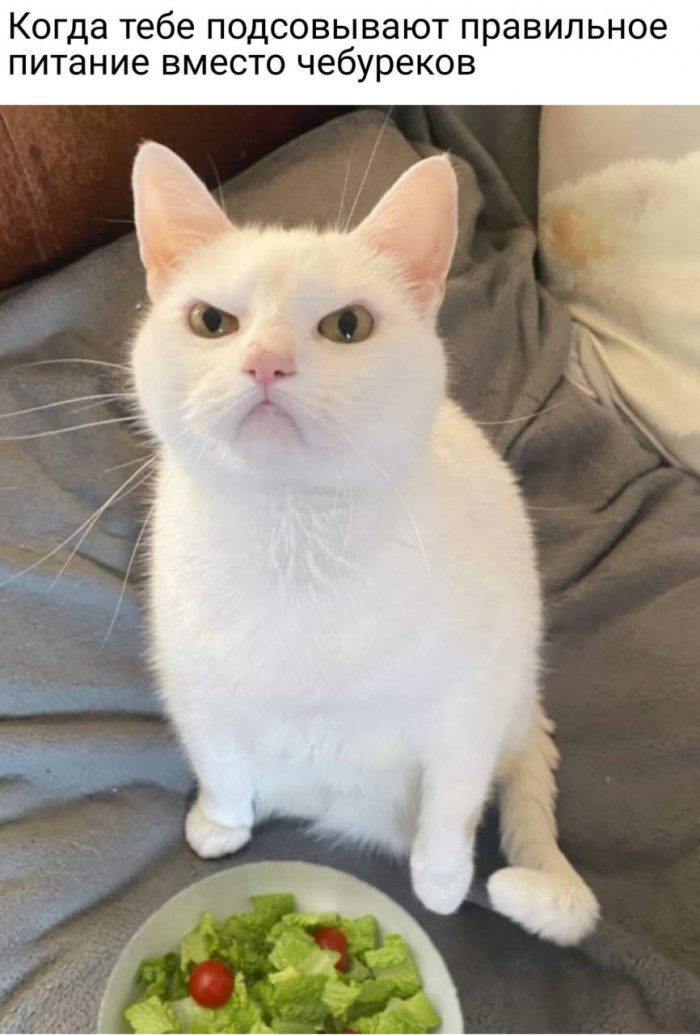 Правильное питание