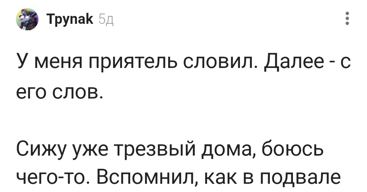 Белочка - это серьезно. И страшно... | Пикабу