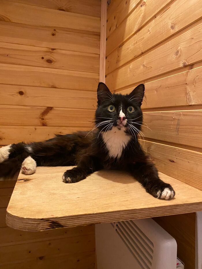           .    ,     ,          .