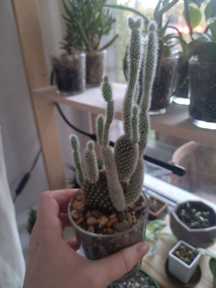 2. �������� ��������, ��������� �����