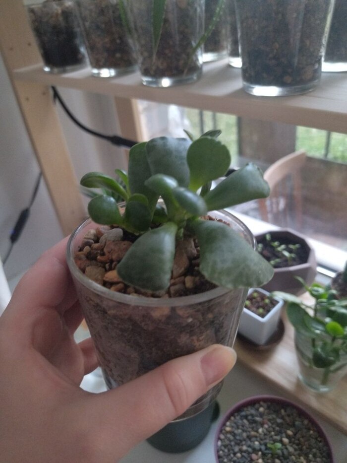 7. �������� �����������