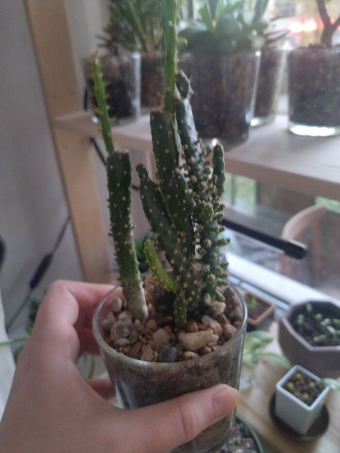 12. �������� �����������