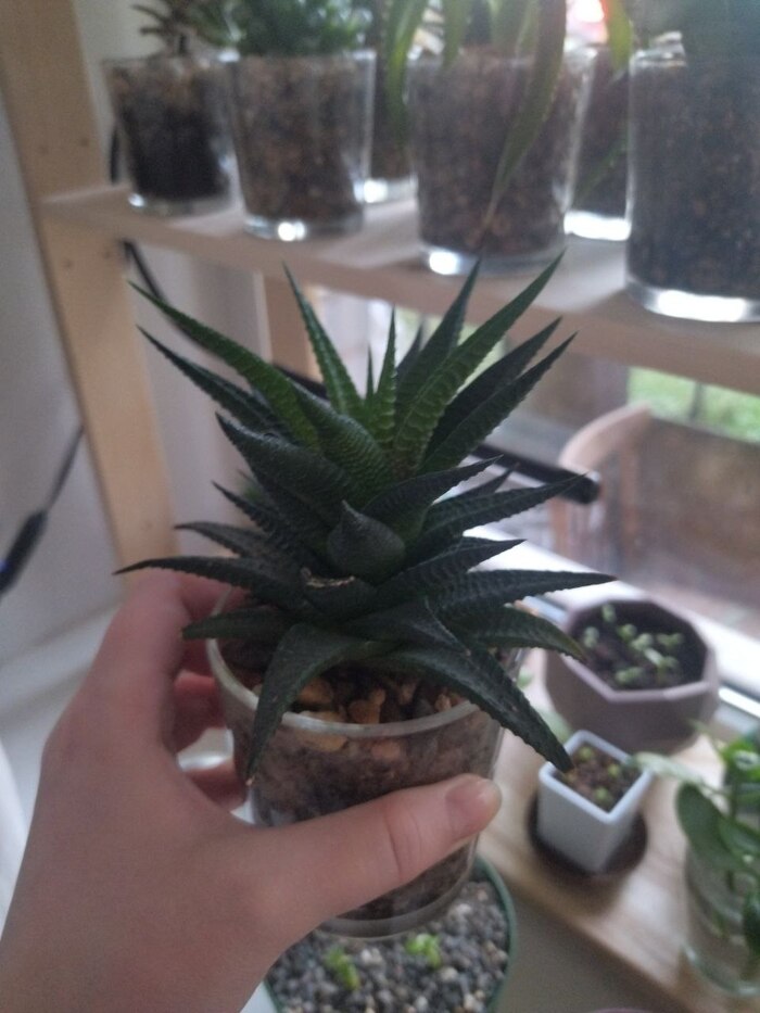 14.  ��������, ����� ������ ���������, ���� � �����������