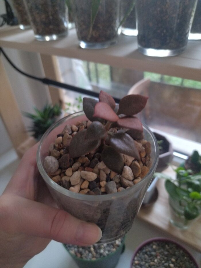 17. �������� �������