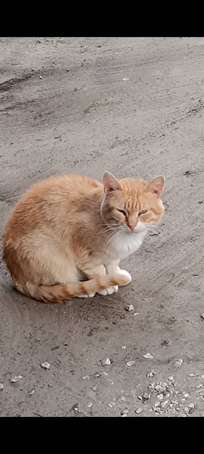 Пристально щурится, грозный взляд