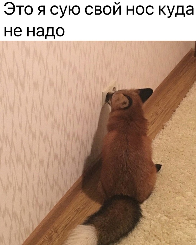 �������������� ������