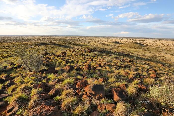 Плато "Холмики Кимберли"