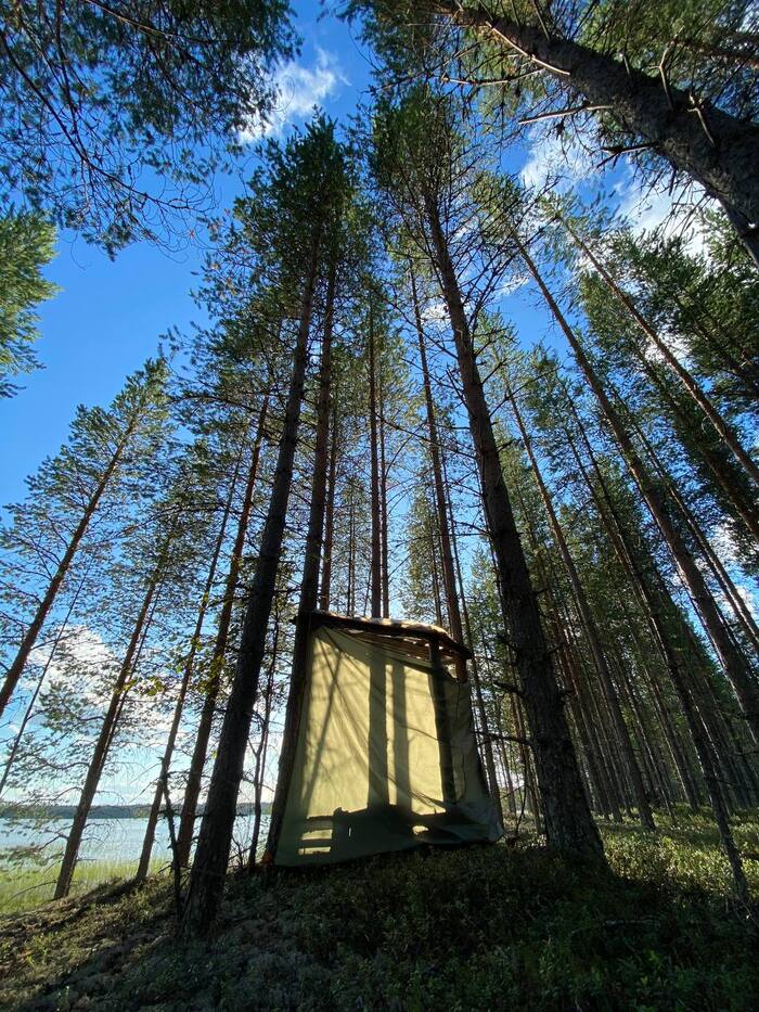 След древней цивилизации в Карелии. Пикт в цвете