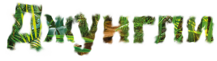 Джунгли - тоже реальное фото из гугла