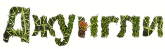 первая генерация выдала такой результат