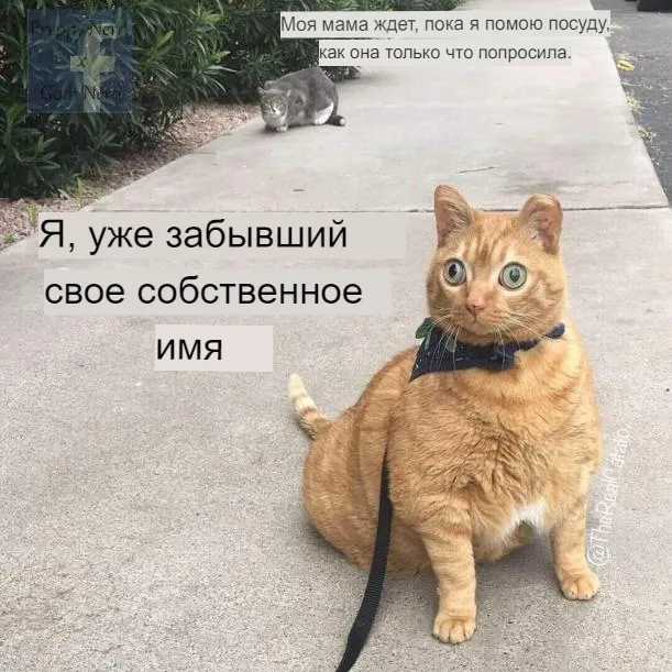 �������� � ����