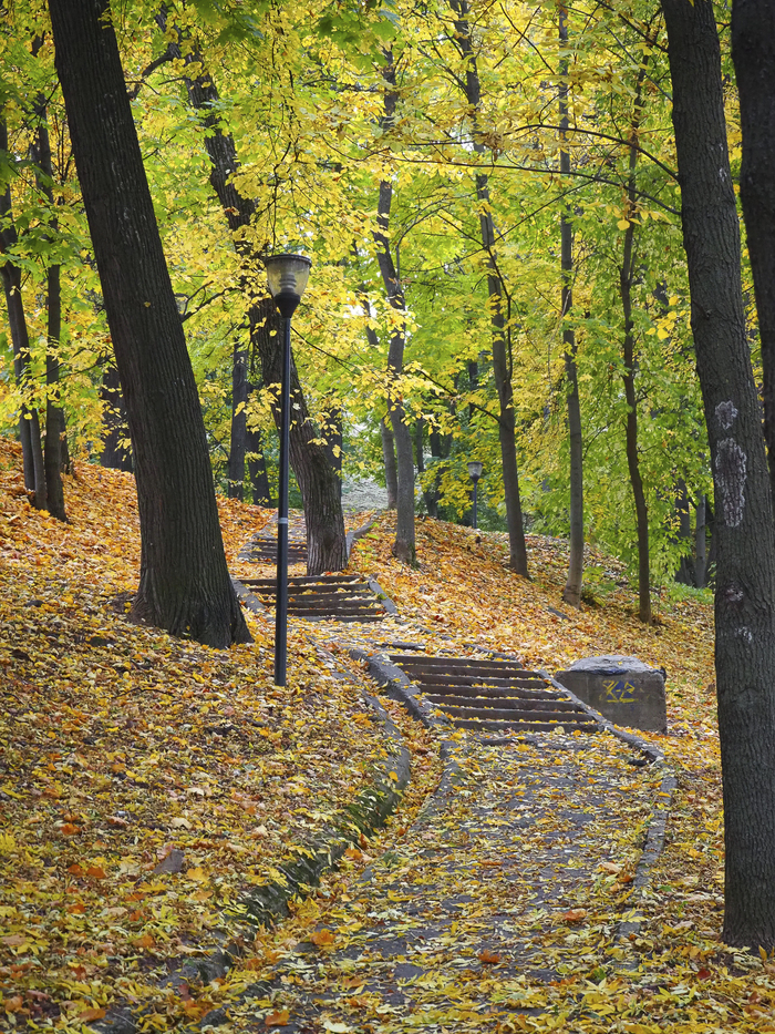 Лестница в Александровском саду.