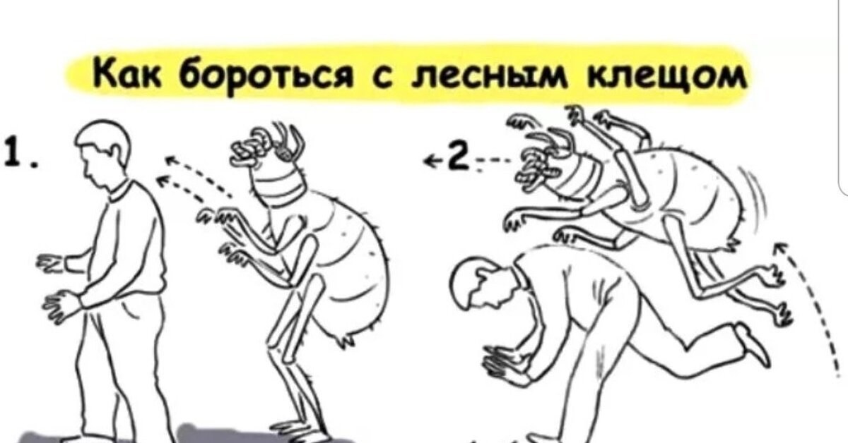 Клещ | Пикабу