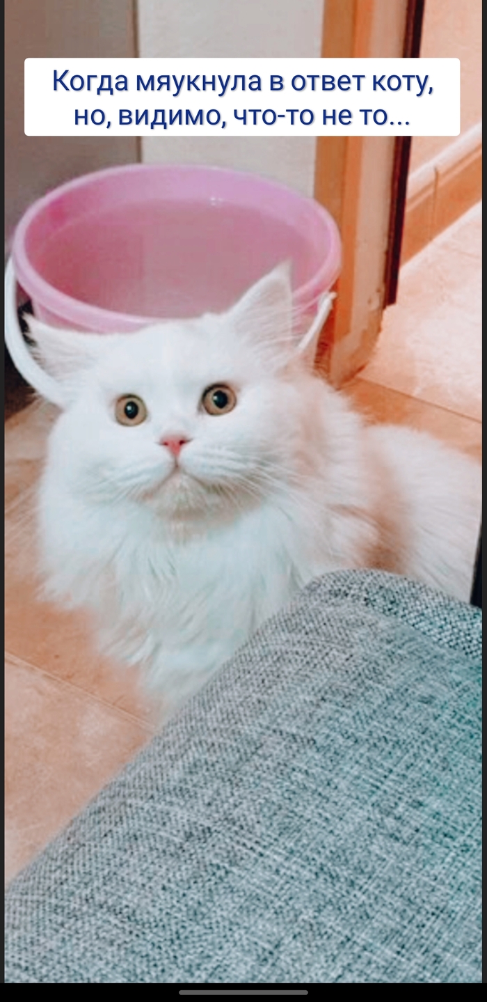 Думай, что говоришь, Наташ...