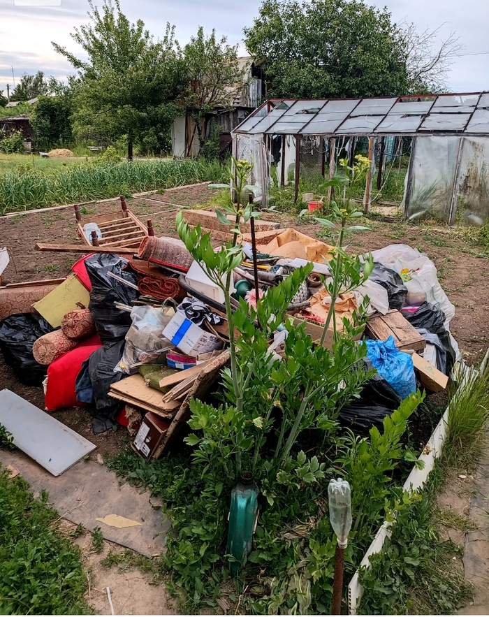 На заднем плане теплица из стекла и сарай. Слева от теплицы чеснок, который мы должны были отдать.