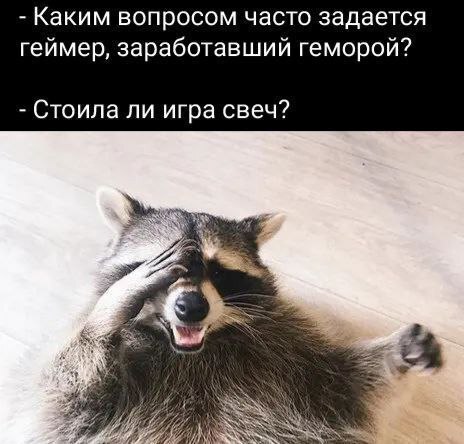 ��� ���� ������