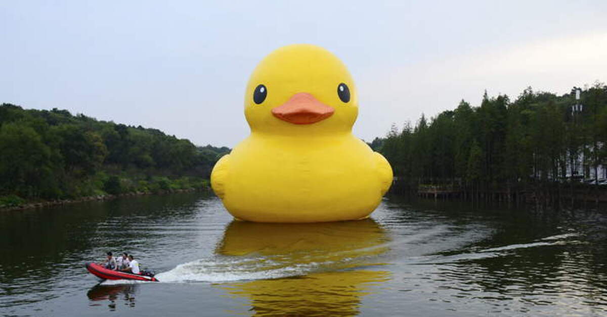 смешная утка. милый гусь. прикольная уточка. коллекция резиновых уточек. желтая резиновая уточка.