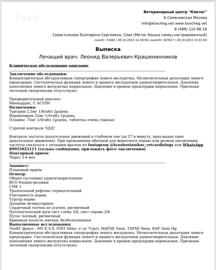 Выписка из ветклиники. Продлили лечение еще на 3 месяца..