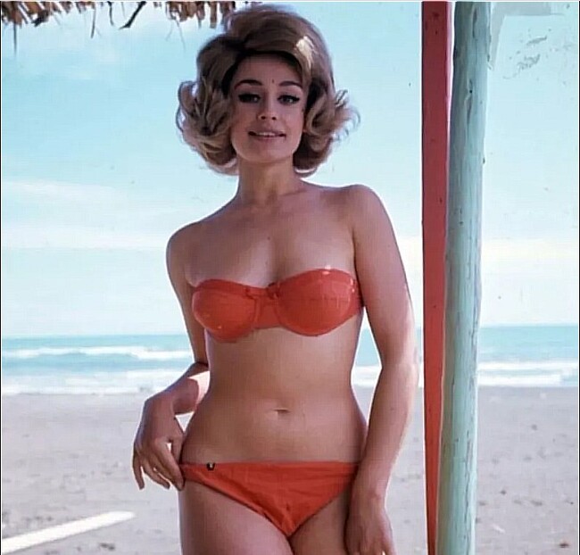 "���� ����" ��������