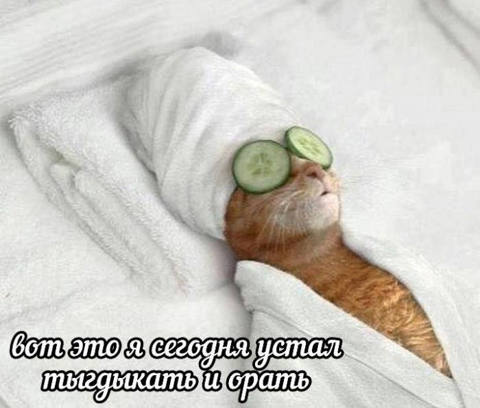 Тяжелый день