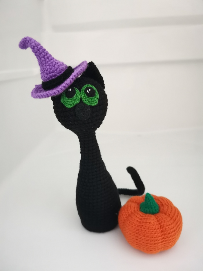 ������������ ���� ���� ������