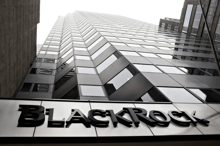 BlackRock - №1 компания на крипторынке в 2024 году Криптовалюта, Фонд, Финансирование, Биткоины, Длиннопост