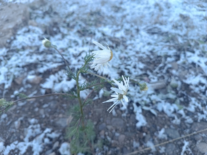 ������ �� ����