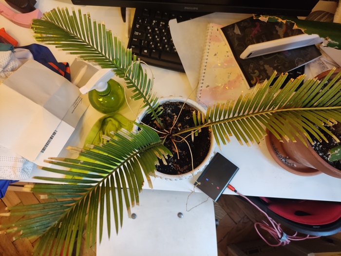 ��� ������