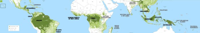 Карта дождевых лесов