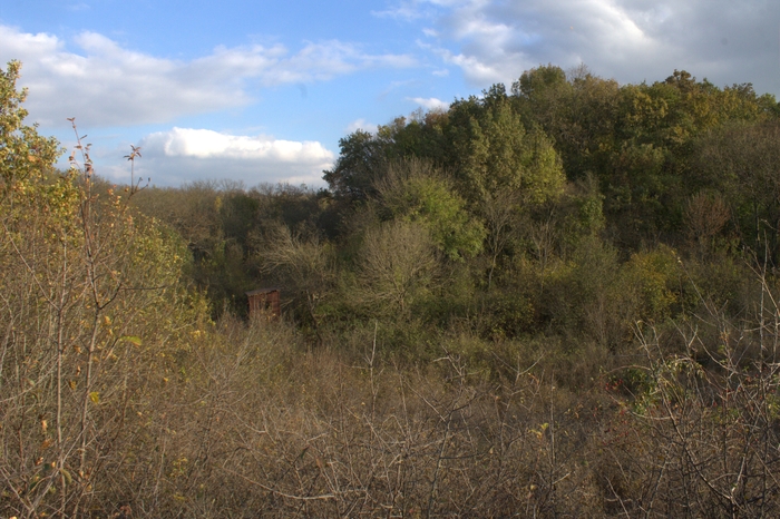 �������� �������.