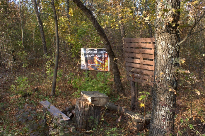 �� ����� ������ ���� �� �����, ����������� ������