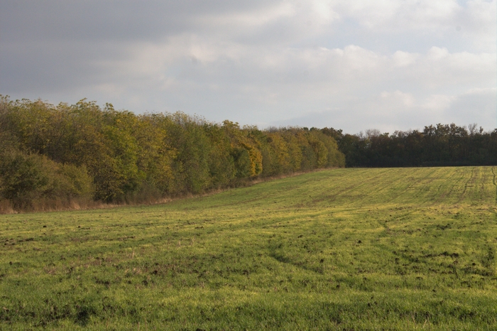 ������ �������