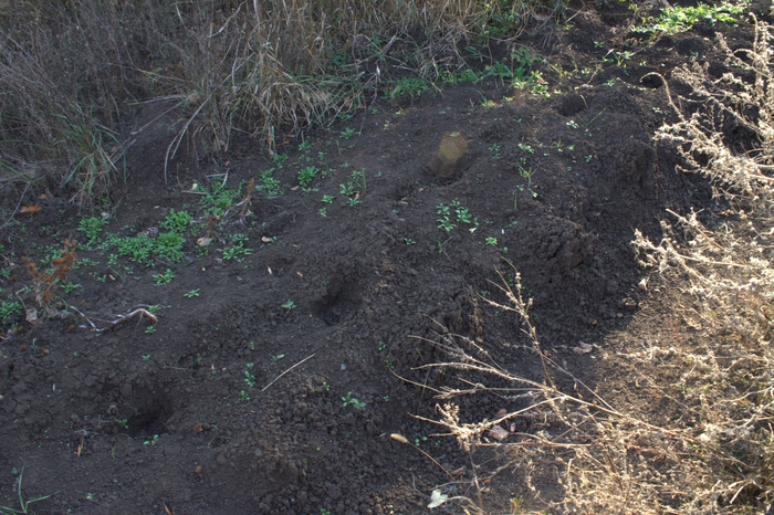 ��������� ������