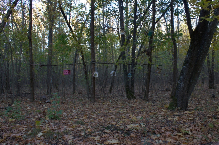 ������ ��������.