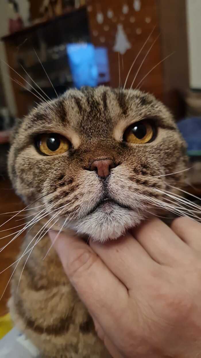 , 14  ,  ,  ,  ,  