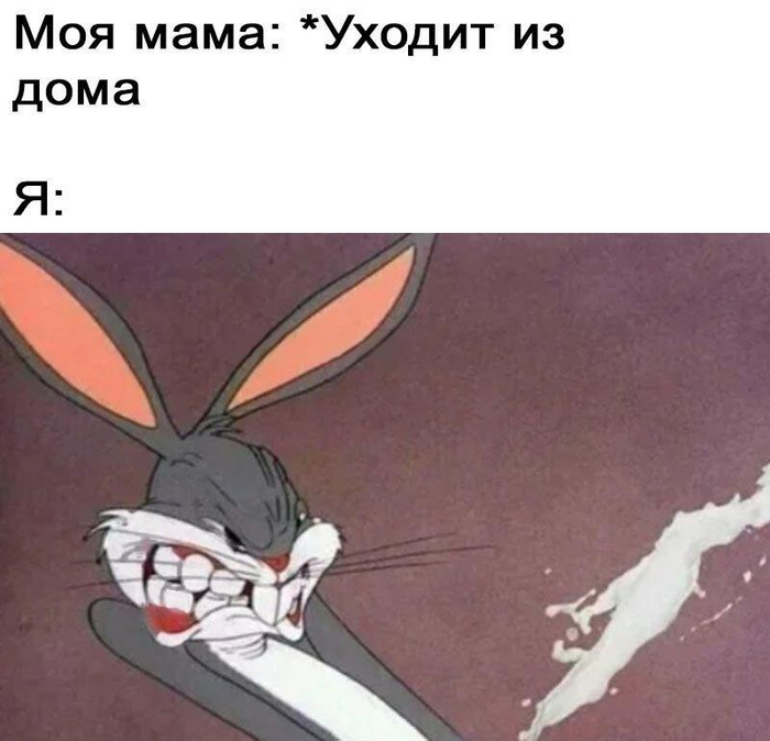 Бакс банни мем